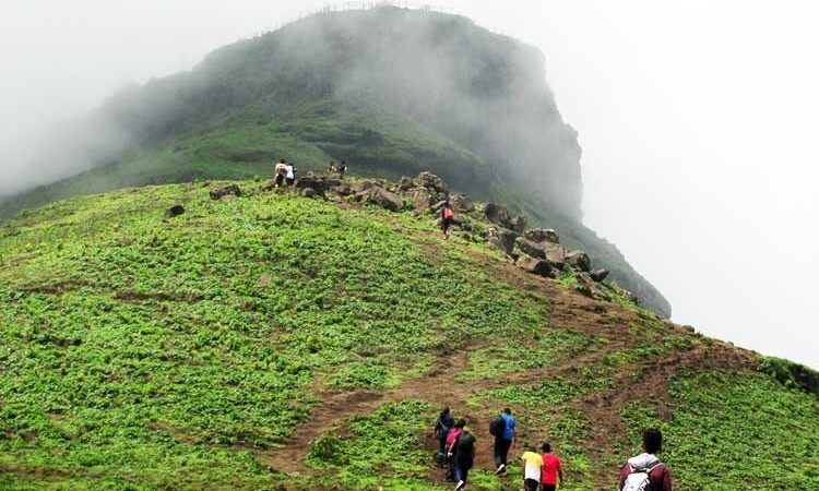 Trekking In South India