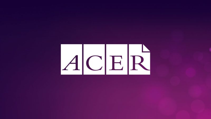 Acer: An Overview of the Company