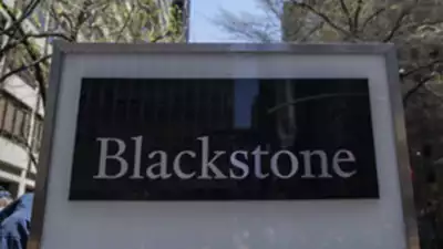 blackstone ai ml 250m 400mphadnis timesindia